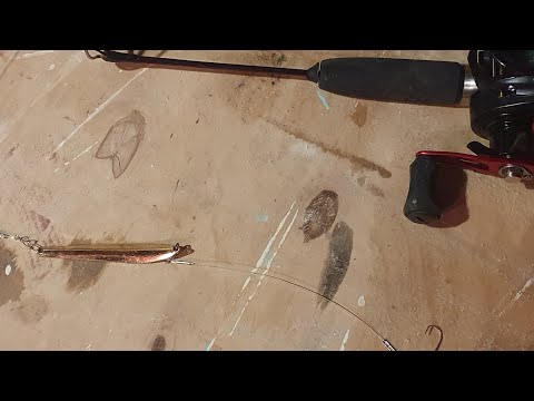 Видео: удочка для ловли трофейной рыбы