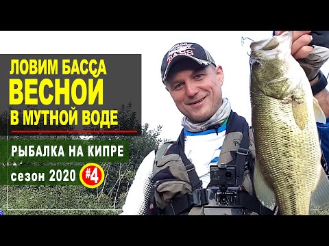 Видео: Кипр. Сезон 2020. Часть - 4. Ловлю басса в мутной воде на силикон