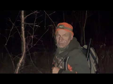 Видео: На охоту в республику Коми.