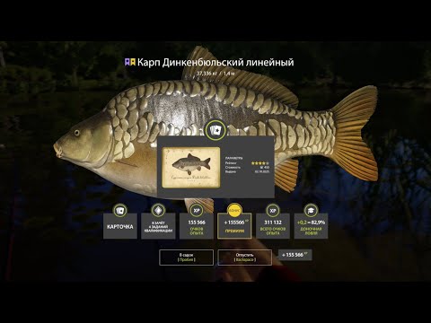 Видео: ПРОВЕРКА ФАРМА НА МЕДНОМ И ДРУГИЕ ВОДОЕМЫ В РУССКОЙ РЫБАЛКЕ 4 СТРИМ