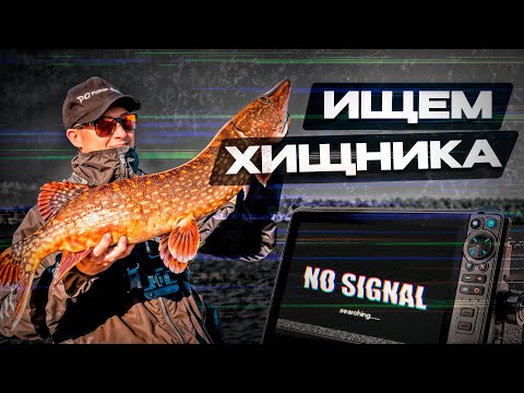 Видео: Рыбалка на спиннинг для новичков: ищем хищника с эхолотом и без #рыбалка #спиннинг #щука #окунь