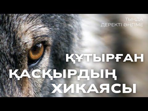 Видео: ҚҰТЫРҒАН ҚАСҚЫРДЫҢ ХИКАЯСЫ. #аудиокітап #әңгіме 