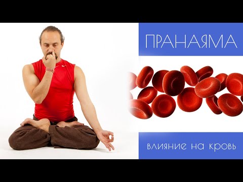 Видео: Анулома Вилома - пранаяма дыхательные упражнения для начинающих. Влияния пранаямы на кровь.