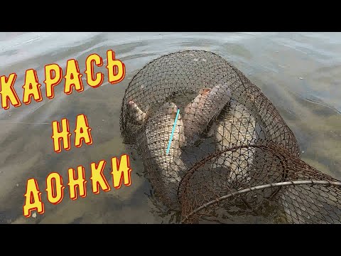 Видео: ВЕСЕННЯЯ РЫБАЛКА НА КАНАЛЕ! КРУПНЫЙ КАРАСЬ НА ДОНКУ.