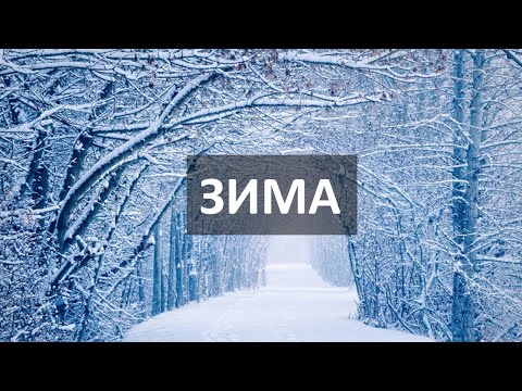 Видео: Что мы делаем зимой? Месяцы. Погода. Спорт. Одежда. Всё о зиме по-русски.  Тексты РКИ