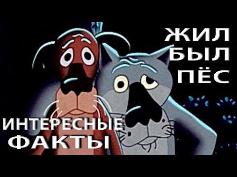 Видео: ЖИЛ-БЫЛ ПЁС: ИНТЕРЕСНЫЕ ФАКТЫ