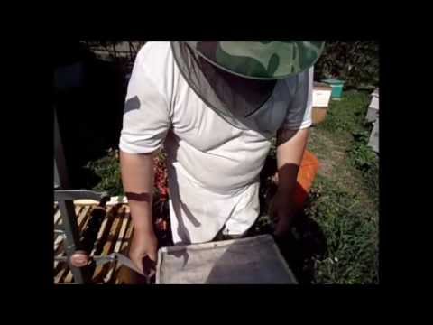 Видео: Постановка второго корпуса.