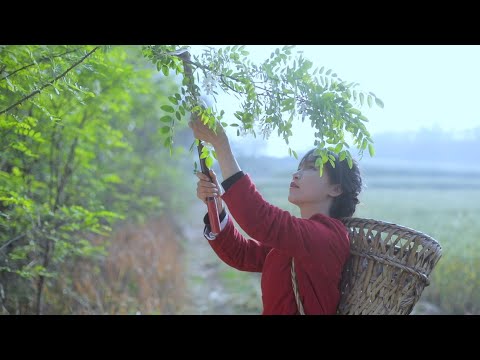 Видео: Вся жизнь Чеснока | Я правда не могу придумать креативное название! Пожалуйста, помоги подумать!