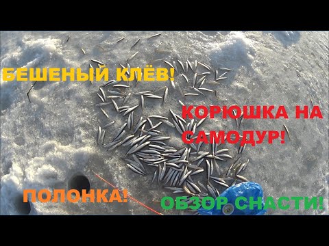 Видео: Полонка(Русский остров.) БЕШЕНЫЙ КЛЕВ! Обзор снасти! Много корюшки! Большой улов!