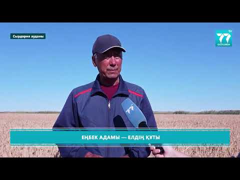 Видео: ЕҢБЕК АДАМЫ   ЕЛДІҢ ҚҰТЫ