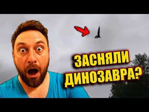 Видео: В АВСТРАЛИИ ОБИТАЮТ ДИНОЗАВРЫ? А ЗАБОР АВСТРАЛИИ построен для защиты от кроликов и собак динго?