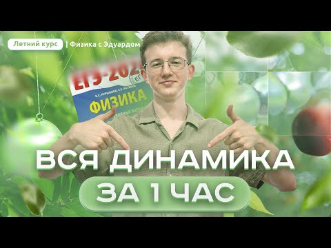 Видео: ВСЯ ДИНАМИКА ЗА 1 ЧАС ДЛЯ ЕГЭ | Летний курс ЕГЭ по физике с Эдуардом