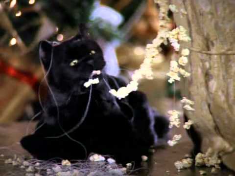 Видео: Сабрина - маленькая ведьма. ЛУЧШИЕ ШУТКИ. 3 сезон