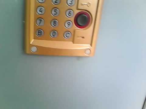 Видео: Золотой домофон ЕЛТИС