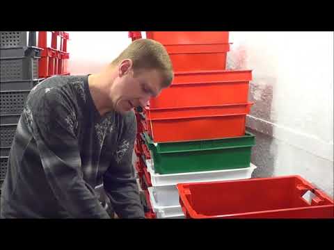 Видео: АТ195 Ангелы Земли 5серия 1сезон Дендробена Ткаченко