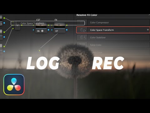 Видео: КАК КРАСИТЬ log В DAVINCI RESOLVE