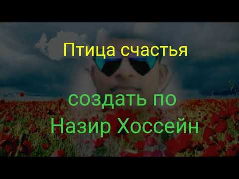Видео: Птица_счастья_-_Витас__(караоке)