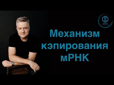 Видео: Механизм кэпирования мРНК