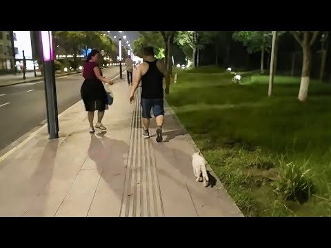 Видео: Беременная, она шла за нами 3 км. Я поняла, что она молила о помощи…