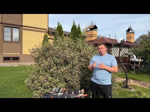 Видео: Ножи ручной работы из самых крепких сталей в Мире.Особые прочные рукояти из карбона и клыка моржа