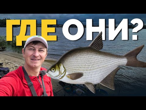 Видео: ⚠️ ГДЕ ЛЕЩИ❓Киевская рыбалка! Рыба бастует! Нет ВОДЫ!