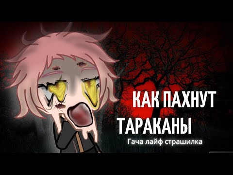 Видео: Как пахнут тараканы..-Гача лайф страшилка / клаб ~страшилки Гача. : Aika Lodi /