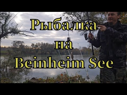 Видео: Активная рыбалка🎣 на Bahnheim See клюнула ПЛОТВА #РЫБАЛКА #angeln #fishing #pêche #see #ПЛОТВА