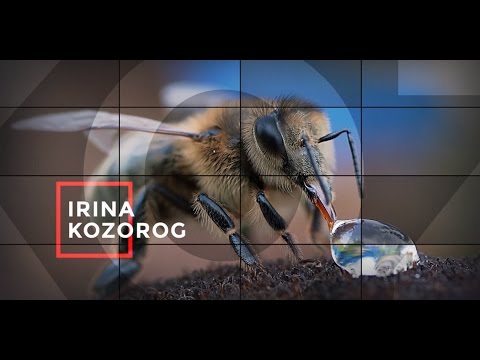 Видео: Phototalks - Irina Kozorog - Беседы с фотографами - ENG subtitles