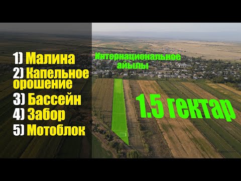 Видео: Жер сатылат! Даяр бизнес малинасы менен! Мотоблок белеке берилет. Соонун шансты колдонгула!