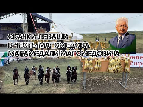Видео: Скачки Леваши