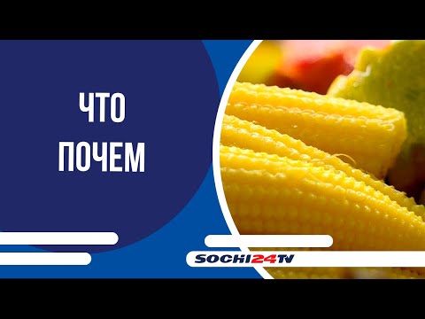 Видео: СОЛЕНИЯ: что почем на Центральном рынке Сочи