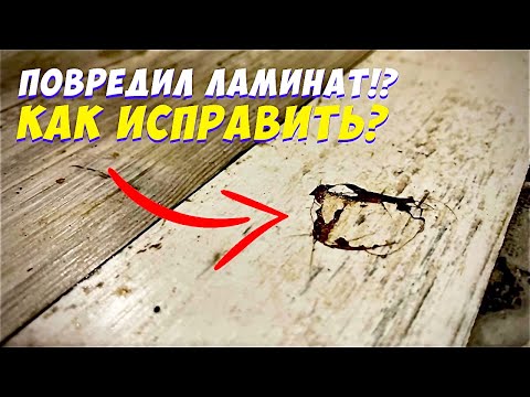 Видео: ✅  КАК ЗАМЕНИТЬ ПОВРЕЖДЁННУЮ ДОСКУ ЛАМИНАТА НЕ РАЗБИРАЯ ПОЛ | ПРОСТОЙ СПОСОБ | РЕМОНТ ЛАМИНАТА