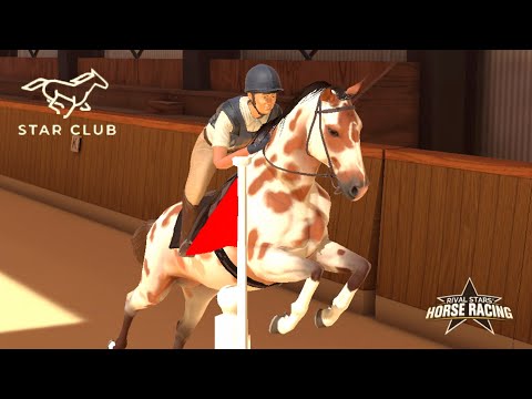 Видео: Звездный клуб и покупка новых лошадей 🌺 Rival Stars Horse Racing