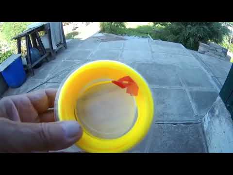 Видео: Хроника прошедшего лета  ч 3