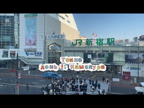 Видео: влог из Токио, 2025: как цветущая сакура заставляет ценить настоящее