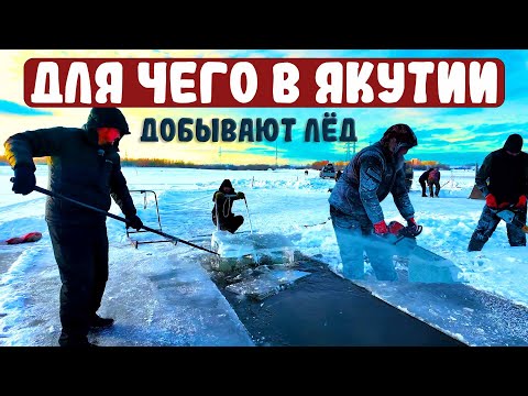 Видео: Здесь добывают лёд. Якутия