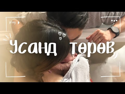 Видео: 𝐁𝐈𝐑𝐓𝐇 𝐕𝐋𝐎𝐆 | Дондог төрсөн түүх 🐣