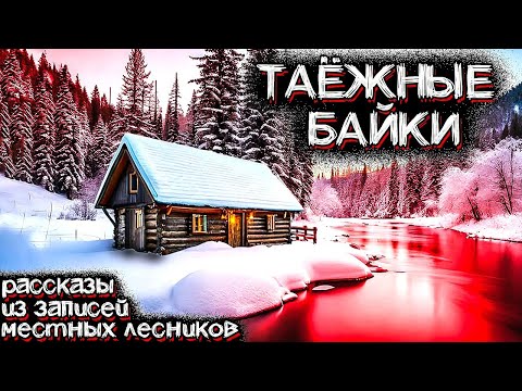 Видео: Жуткие Случаи в ТАЙГЕ, которые Произошли НА САМОМ ДЕЛЕ. Необъяснимые Истории из Клуба Охотников
