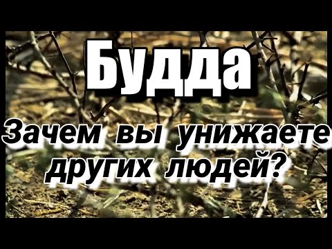 Видео: 24 Вы проявляете неуважение к Творцу, ограничивая людей в правах. Будда #просветление #буддизм
