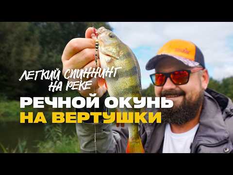 Видео: Легкий Спиннинг на Реке Окунь на Вертушки и Ловля Ночью на Джиг