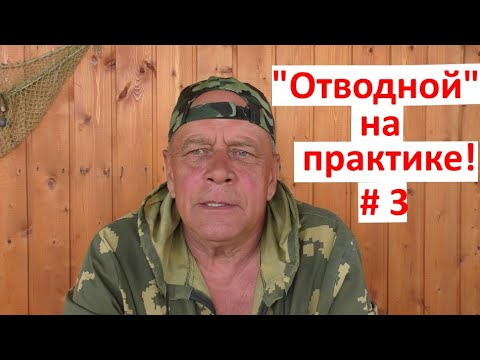 Видео: "ОТВОДНОЙ" часть 3. Какой силикон выбрать?!