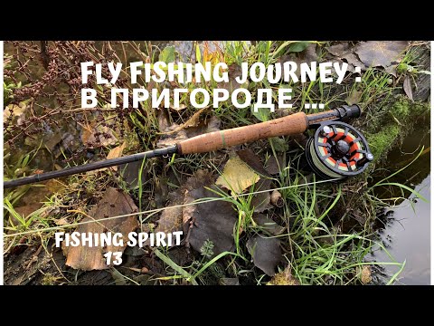 Видео: FLY FISHING / Половил в пригороде. Краснопёрка,уклейка,окуня 👍☝️😉