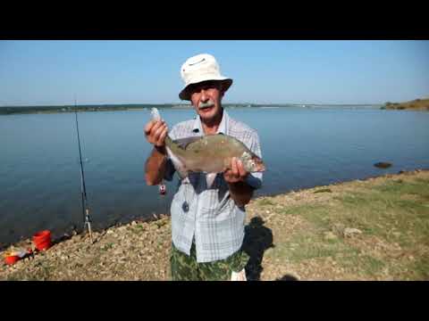 Видео: Ночевка , от Пал Палыча   16 06 19