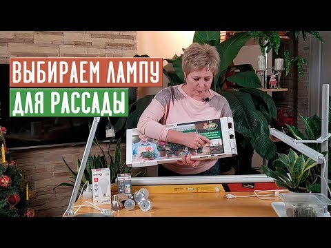 Видео: СЕКРЕТЫ ПОДСВЕТКИ РАССАДЫ  Как правильно выбрать лампу? / Садовый гид