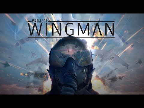 Видео: Самолетики Project Wingman