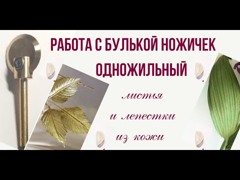 Видео: Цветы из кожи для начинающих. Мастер класс листья из кожи.