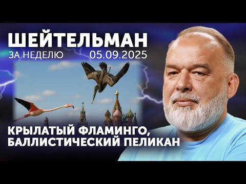 Видео: Крылатый Фламинго, баллистический Пеликан. Шерше ля мяч. Ту160 как слепых котят. Увертюра «Шахед»