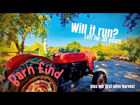 Видео: Можем ли мы завести этот старый амбар, найти трактор + наш первый БОЛЬШОЙ урожай!