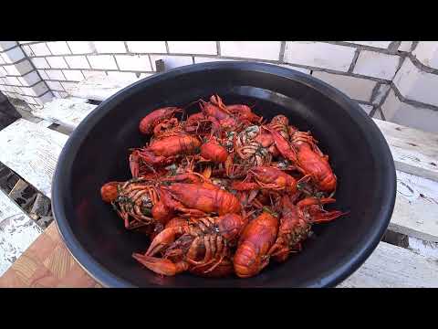 Видео: Жареные раки в казане