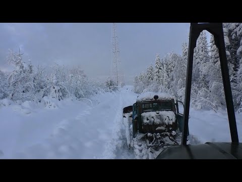 Видео: Приехал на Урале за дровами, а дороги то нету!!! Хорошо старый Дт-75 на ходу....